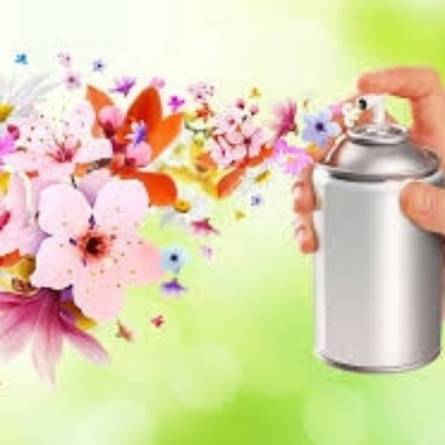 Air Freshener
